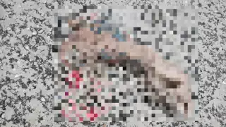 Autoridades descartaron que el brazo tenga relación con hechos criminales