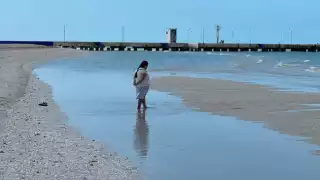 El fenómeno que causó que el mar de Celestún se alejara es natural