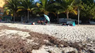 En la estrategia participan los tres órdenes de Gobierno