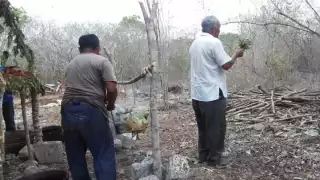 Anteriormente, el oficio de curandero era muy popular y solicitado en el poblado