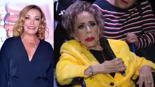 Sylvia Pasquel explicó cómo emergió la llaga de Silvia Pinal
