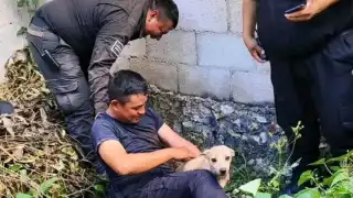 El rescate tardó una hora, mientras los agentes realizaron las maniobras necesarias