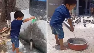 Los internautas se mostraron conmovidos por el gesto del niño