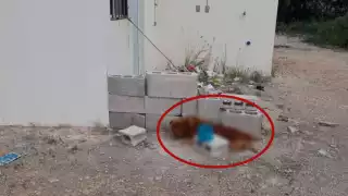 Estaba en una propiedad ubicada en Las Américas II