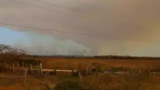 Sólo el 15 por ciento del área afectada ha logrado ser sofocado