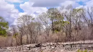 Yucatán cierra un año con lluvias irregulares y tensiones hídricas; 29 municipios padecen sequía