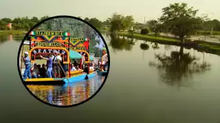 Alcalde de Candelaria 'le copia' a Xochimilco; lleva trajineras al río