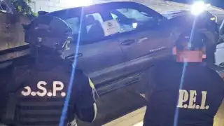 Detienen al presunto responsable de atropellar a la perrita “Negrita” en Kanasín