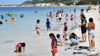 Playas, aptas para uso recreativo