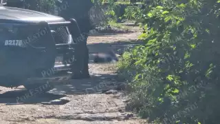 Hallan hombre sin vida con disparo en asentamiento In House de Playa del Carmen