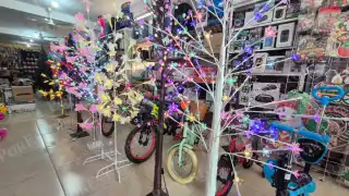 Ventas en tiendas físicas de Champotón siguen fuertes pese al auge del comercio en línea