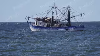 Canainpesca exige vigilancia naval ante asaltos en el mar de Campeche