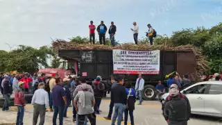 ¿Por qué protestan los cañeros en Campeche? Estas son sus demandas y lo que se sabe hasta ahora