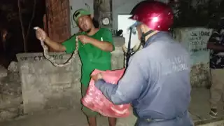 La serpiente fue asegurada por la policía municipal y luego liberada en su hábitat