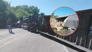 Tráiler cargado con pollo de Bachoco vuelca en la carretera federal Sabancuy–Champotón