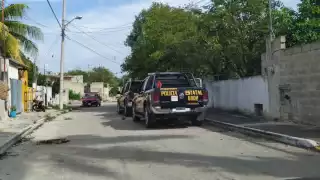 El hombre cortaba las hojas de ramón de un árbol