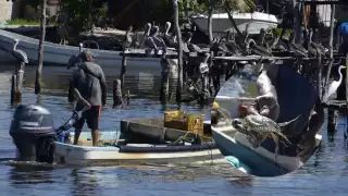 Guardianes de la Naturaleza considera que ninguna autoridad gubernamental pretende solucionarlo
