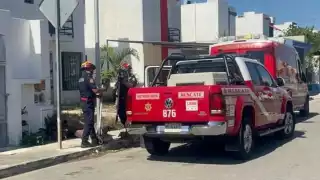 Pitbull ataca a dos perros husky en el fraccionamiento Los Héroes en Mérida