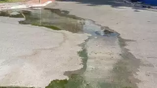  “El olor es horrible”: Vecinos de Gran Santa Fe Norte en Mérida viven  entre  aguas negras