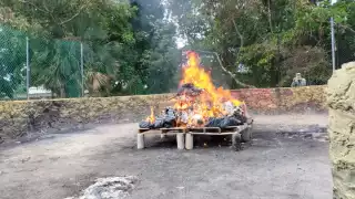 Lo incinerado forma parte de los aseguramientos realizados en Quintana Roo