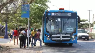 Son 12 unidades para la ruta 42 Sur-Cielo Alto de Va y Ven en Mérida