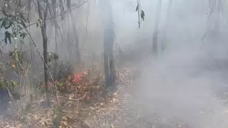 Cazadores furtivos y quemas agropecuarias, causas de incendios forestales de Chun Ek, Hopelchén