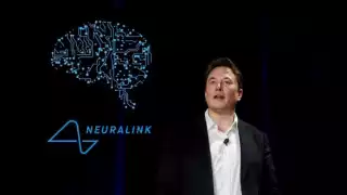 Así funcionaría el chip cerebral de Neuralink