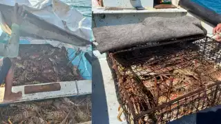 Piden renovación de los muelles de las cooperativas Isla Blanca y Makax