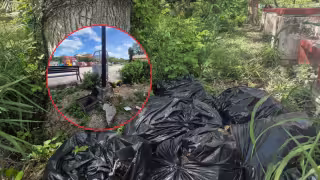 Entre basura, maleza y mosquitos: vecinos denuncian abandono total de parque en Champotón