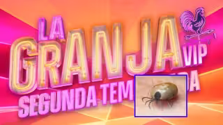 Confirman presencia de garrapatas en ‘La Granja VIP’; les prohíben tomar leche