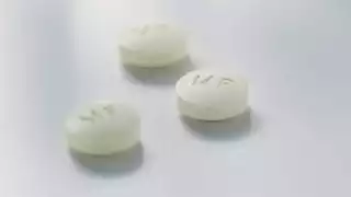 Eric Adams, alcalde de Nueva York, anunció este apoyo como  parte de las necesidades de los grupos pro-aborto