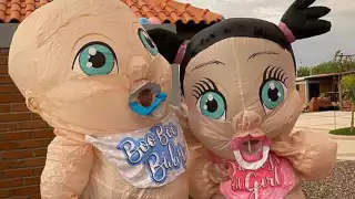 Botargas luchan para revelar el sexo de un bebé en Hermosillo: VIDEO