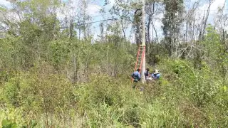Por este motivo, José María Morelos no tenía teléfono e internet