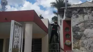 Rescatan a un gato que estuvo cuatro días en el techo de una casa en Tizimín