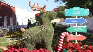 El Paseo Navideño de las Flores en Mérida comenzará a recibir visitantes este 9 de diciembre