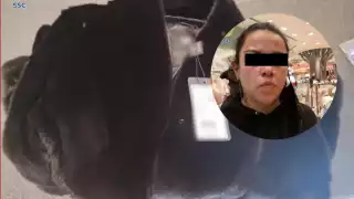 La mujer cuenta con antecedentes de robo