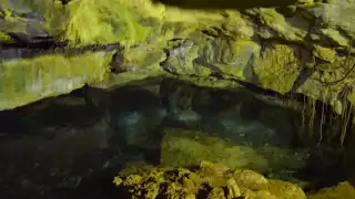 Este lugar se llama Dzoyaxché y se encuentra a 30 minutos de Mérida. 