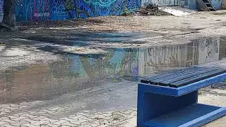 Las aguas negras son focos de contaminación