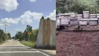 El hombre habría muerto por las picaduras de las abejas