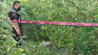 Los campesinos pensaron que se trataba de un animal muerto, pero era un hombre en estado de putrefacción