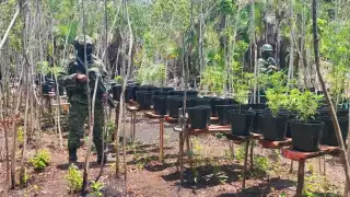 El sitio fue ubicado cerca de la localidad Andrés Quintana Roo