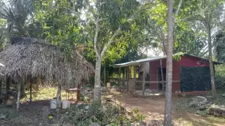 Falleció entre las 11 de la noche a 2 de la mañana.