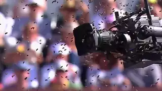 Presuntamente, el panal se encontraba en la cámara spider