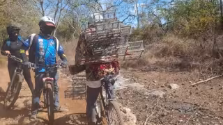 “Tenían seis trampas y una escopeta”: Denuncian cacería furtiva y captura de aves en la Reserva Cuxtal de Mérida