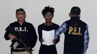 El ladrón intentó darse a la fuga, pero fue detenido más tarde