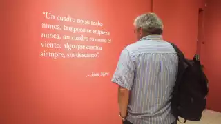 La colección incluye litografías, calcografías, aguatintas, y una gran variedad de técnicas