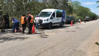 Un perro fue el causante del accidente en Muna