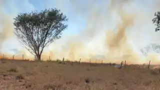 El viento causó que ambos incendios se extendieran entre la maleza de la carretera Buctzotz-Tizimín