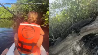 Video: así fue la peligrosa interacción de dos turistas con un cocodrilo en Tulum