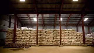 Cierre del Estrecho de Ormuz podría desatar crisis peor que el COVID-19, advierte la FAO